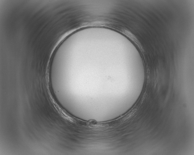 X0000054391436200508270022