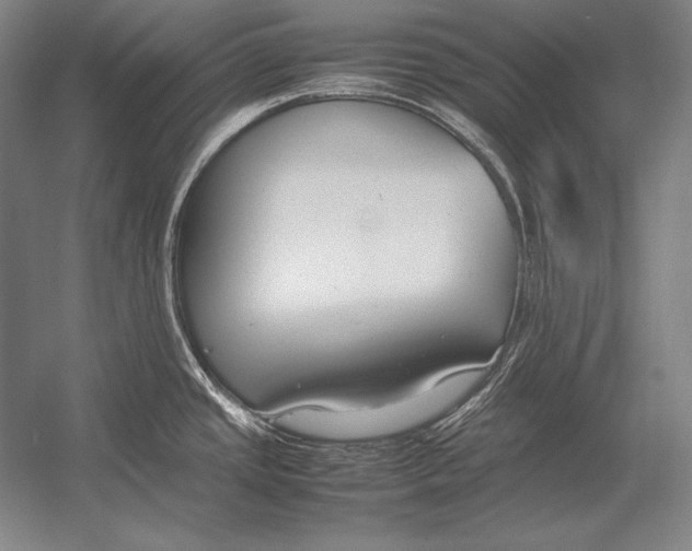 X0000054391437200508270022
