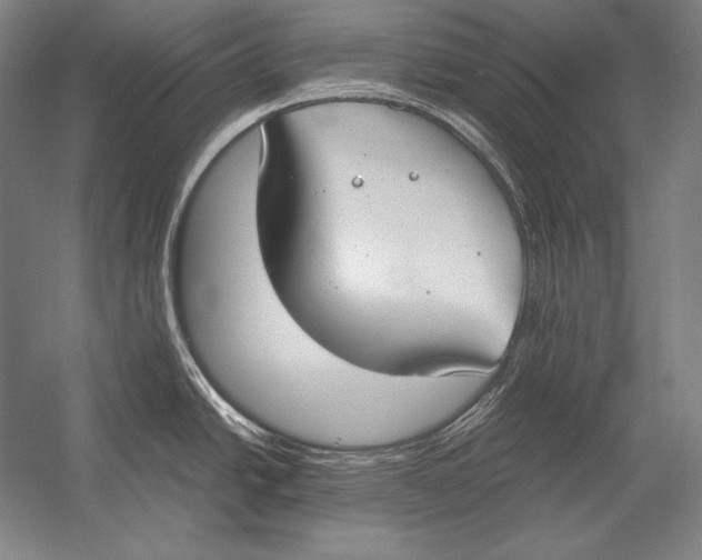 X0000054391438200508270022