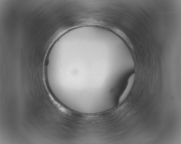 X0000054391439200508270022