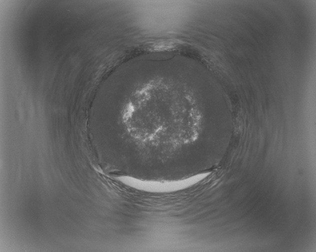 X0000054391441200508270021