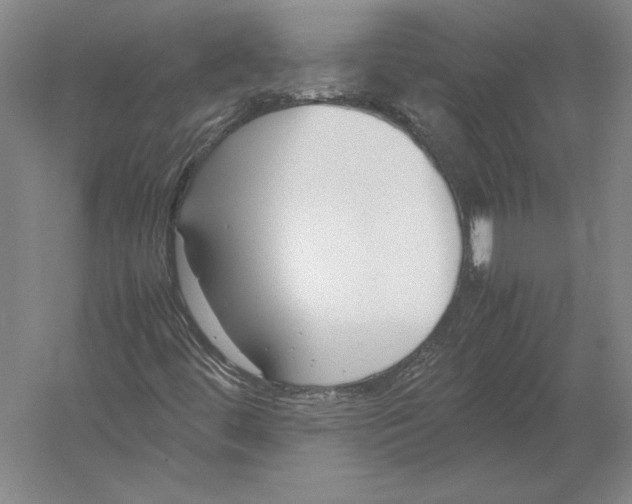 X0000054391444200508270021