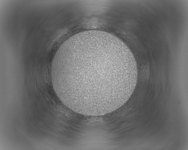 X0000054391446200508270021