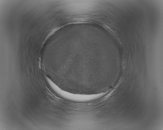 X0000054391449200508270021