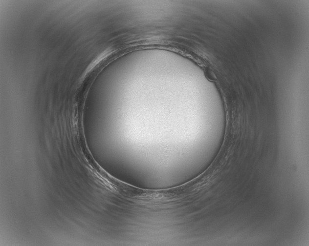 X0000054391450200508270021