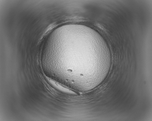 X0000054391451200508270021