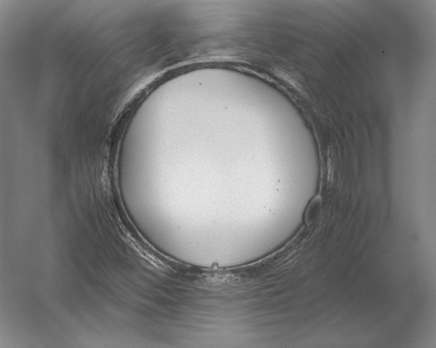 X0000054391452200508270021
