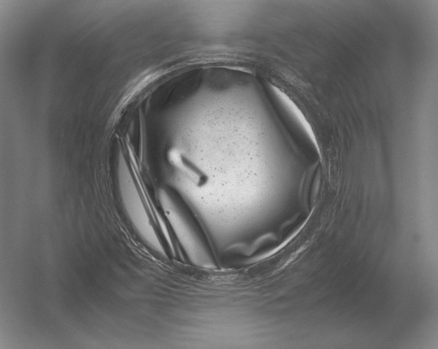 X0000054391453200508270021
