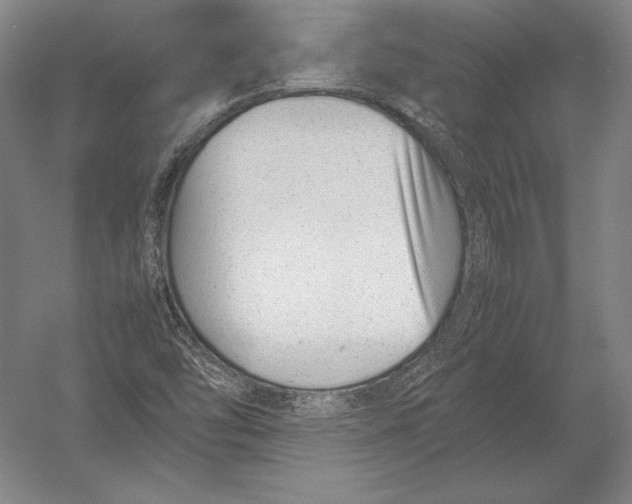 X0000054391454200508270021