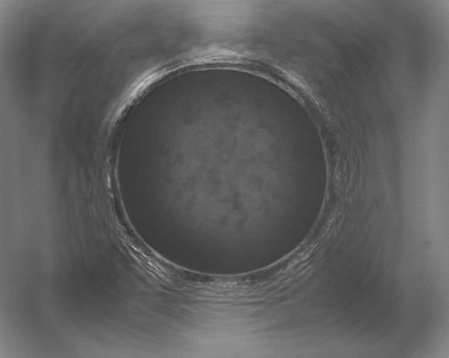 X0000054391455200508270021