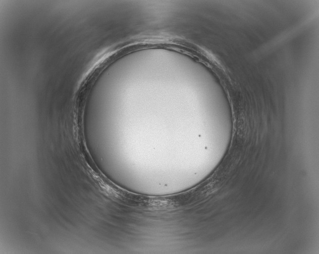 X0000054391456200508270021