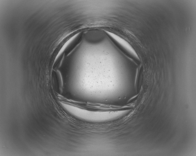 X0000054391457200508270021