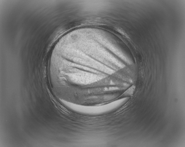 X0000054391459200508270021