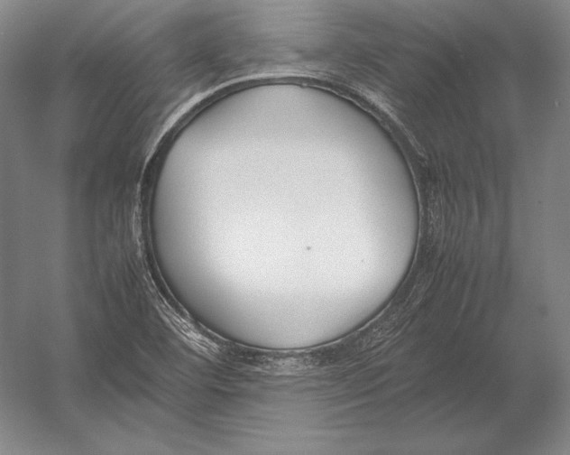 X0000054391460200508270021