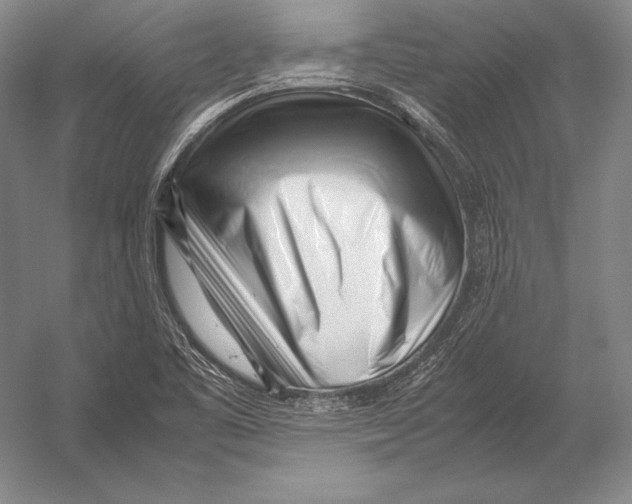 X0000054391461200508270021