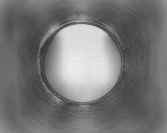X0000054391464200508270021