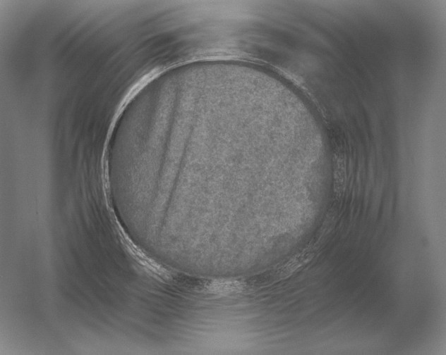 X0000054391466200508270021
