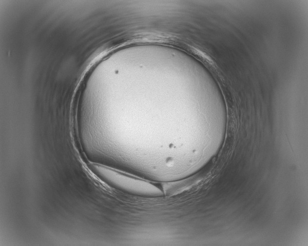 X0000054391471200508270021