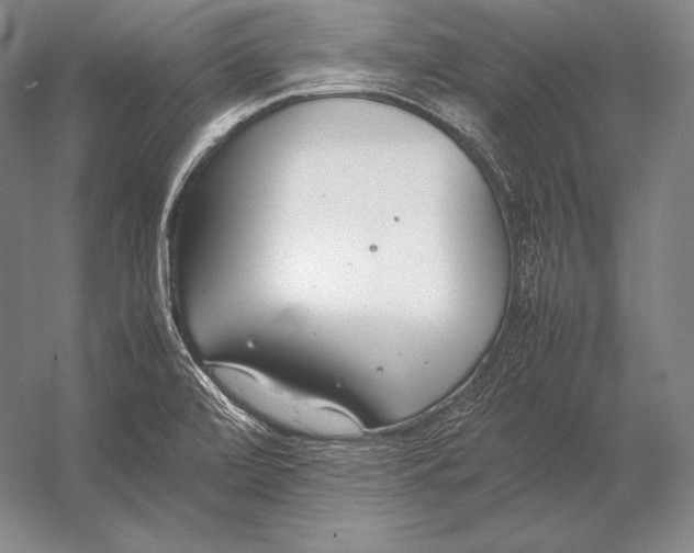 X0000054391472200508270021