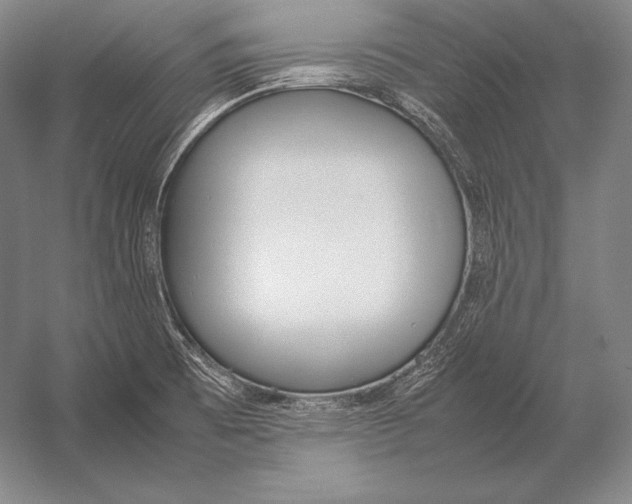 X0000054391473200508270021