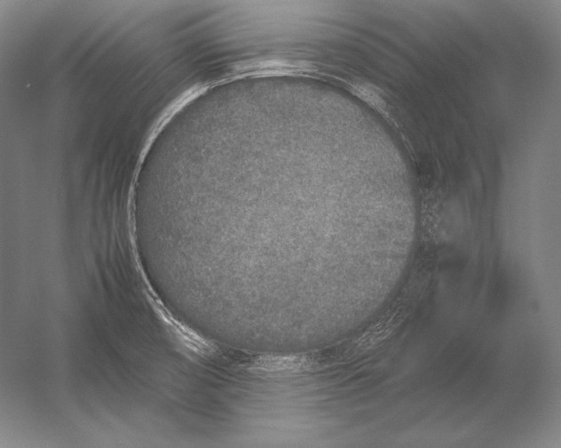 X0000054391474200508270021