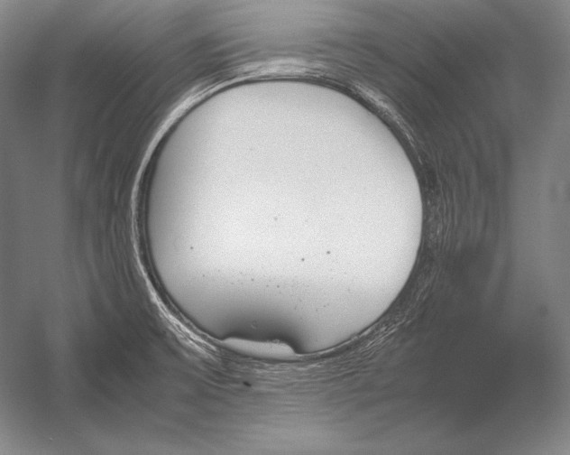 X0000054391475200508270021