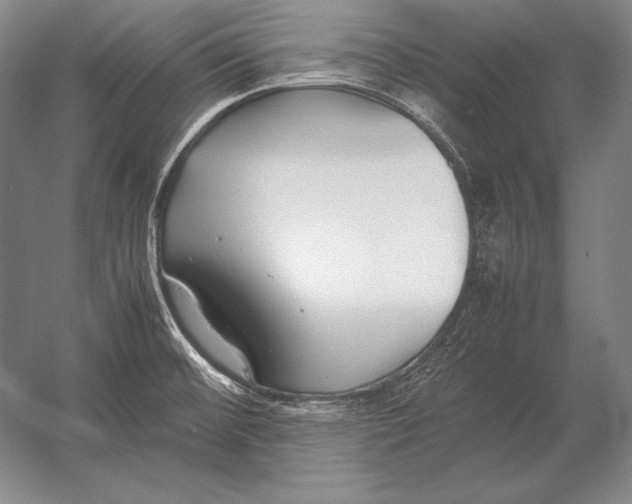 X0000054391476200508270021