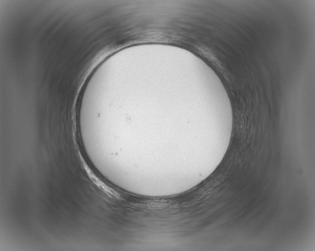 X0000054391479200508270021