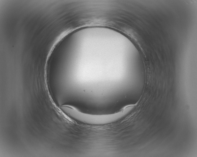 X0000054391480200508270021
