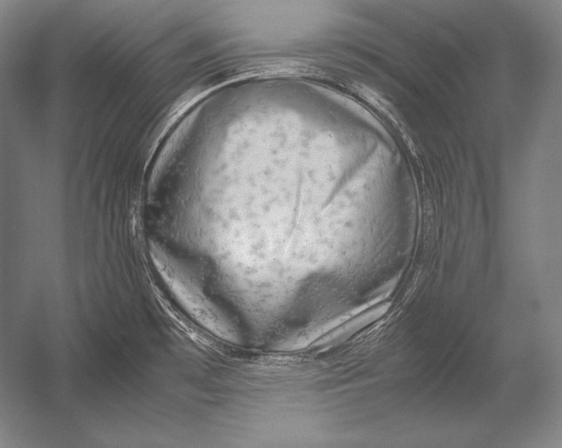 X0000054391481200508270021