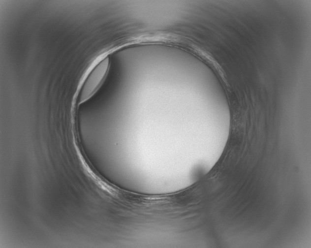 X0000054391483200508270021