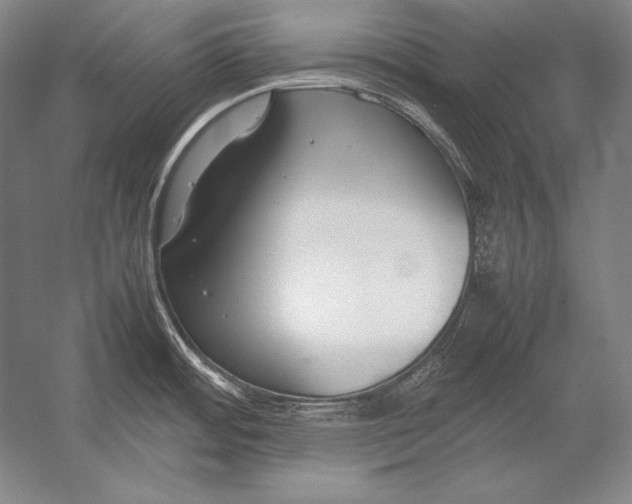 X0000054391484200508270021