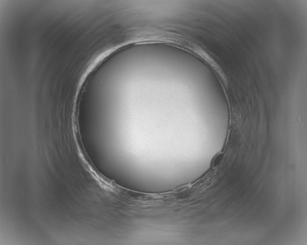 X0000054391485200508270021