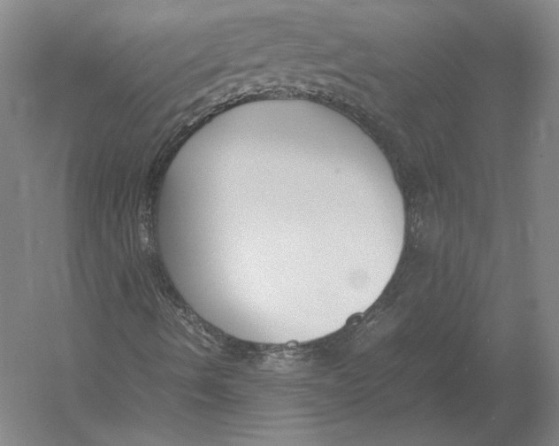 X0000054391490200508270020