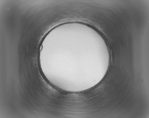 X0000054391500200508270020