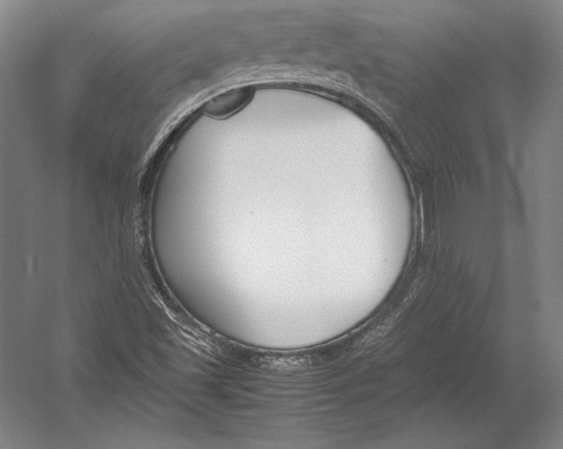X0000054391501200508270020