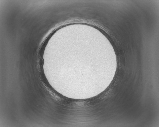 X0000054391502200508270020