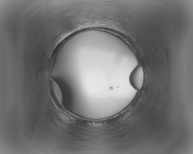 X0000054391505200508270020