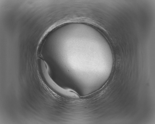X0000054391506200508270020