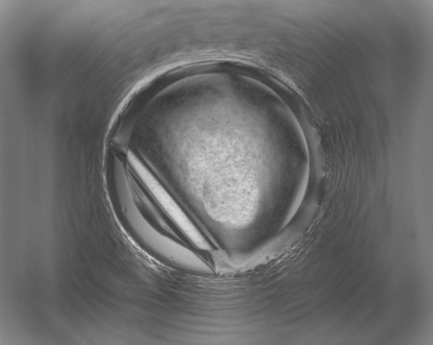 X0000054391508200508270020