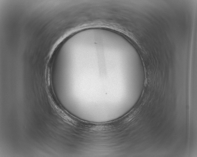 X0000054391510200508270020