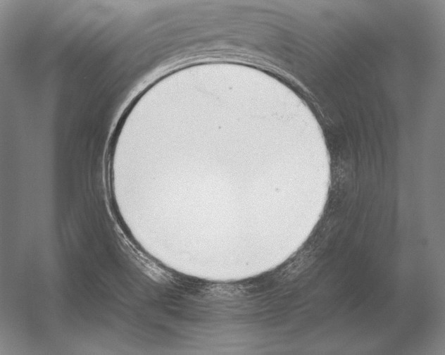X0000054391514200508270020