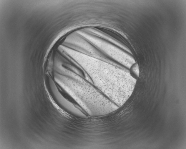 X0000054391515200508270020