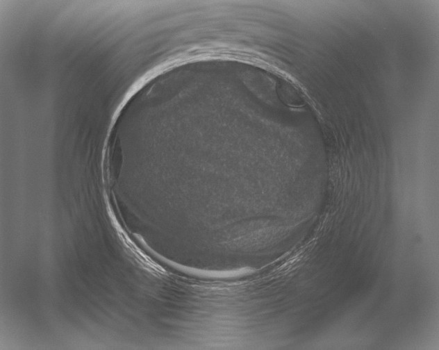 X0000054391522200508270020