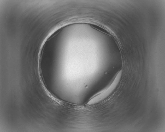 X0000054391528200508270020