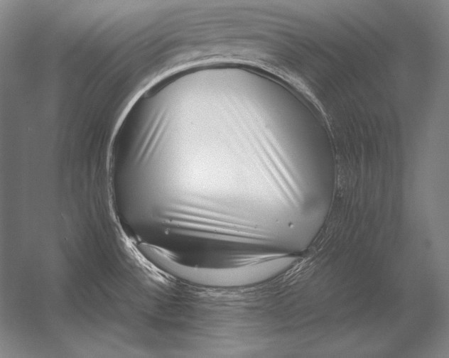 X0000054391532200508270020