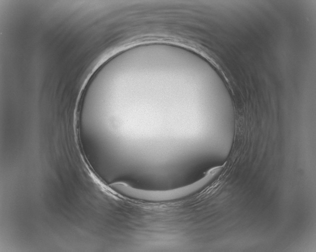 X0000054391535200508270020
