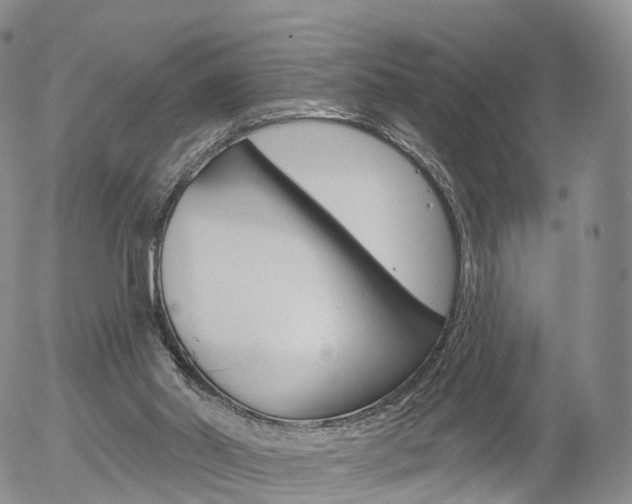 X0000054400014200507290843
