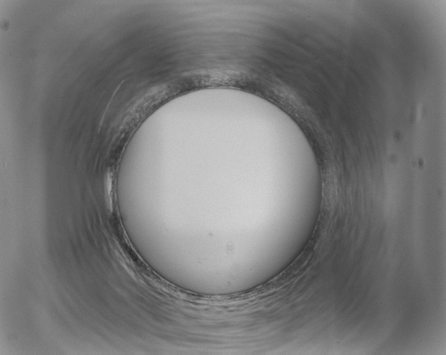 X0000054400022200507290843