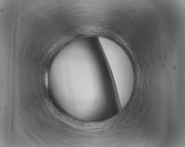 X0000054400027200507290843